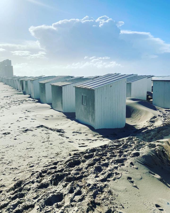 La Cabane d’O Ostende Extérieur photo